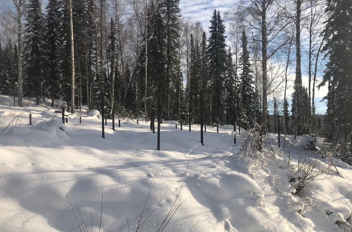 Использование комбинированных свай в грунтах с включениями