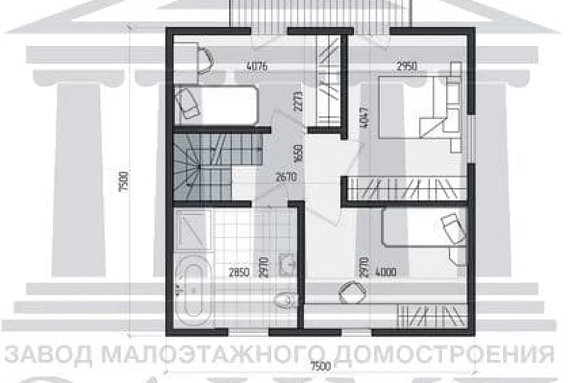 Аврора Аврора