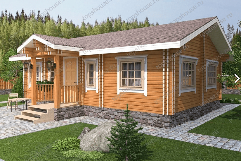 ПРОЕКТ ДОМА «СВОБОДНЫЙ ХУДОЖНИК»