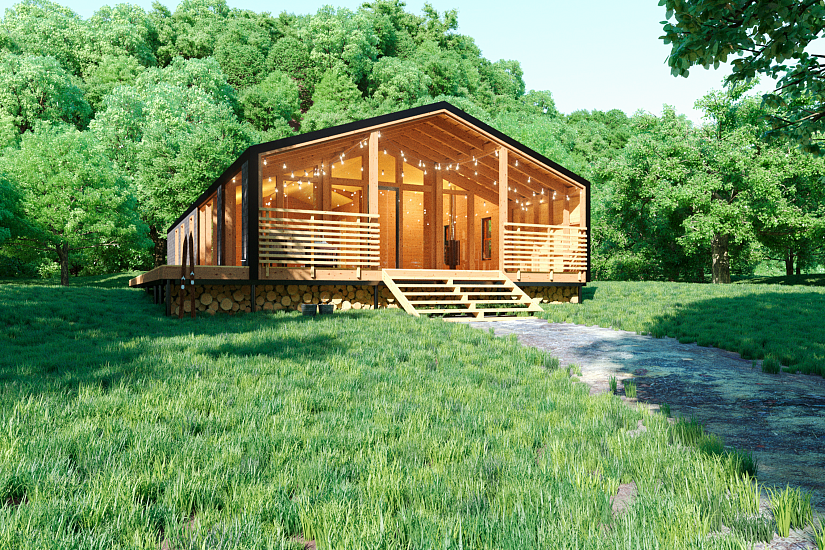 Дом-каркас200мм-10785х16500мм-1эт-АР