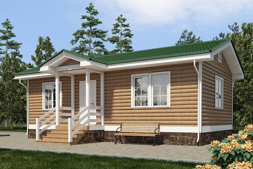 Дачный дом 958