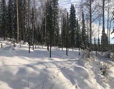 Использование комбинированных свай в грунтах с включениями