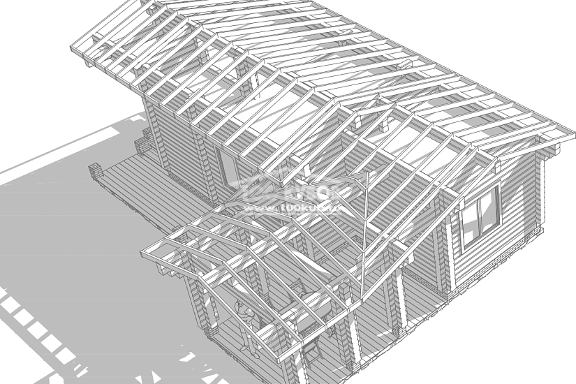 Дом - баня 2392